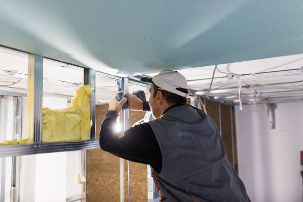 Best Insulation Contractors for Homes  in Cedar Lake, IN