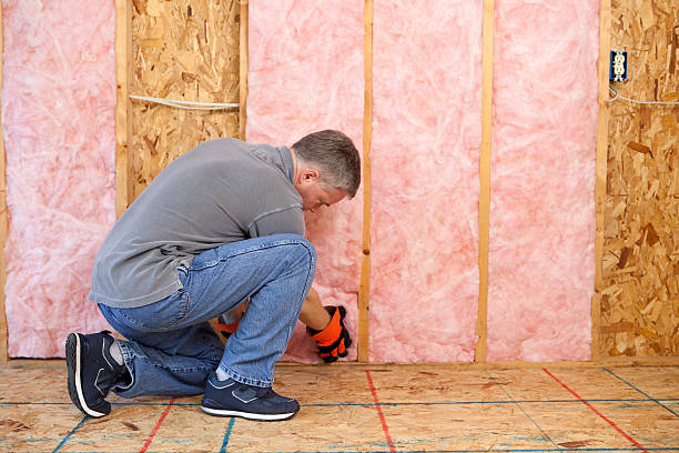 Best Home Insulation Services  in Cedar Lake, IN