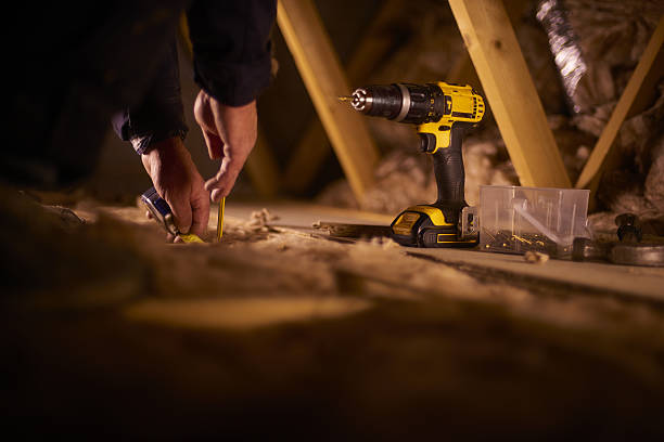 Best Insulation Repair Services  in Cedar Lake, IN