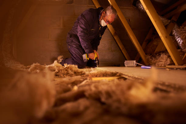 Best Insulation Inspection Services  in Cedar Lake, IN